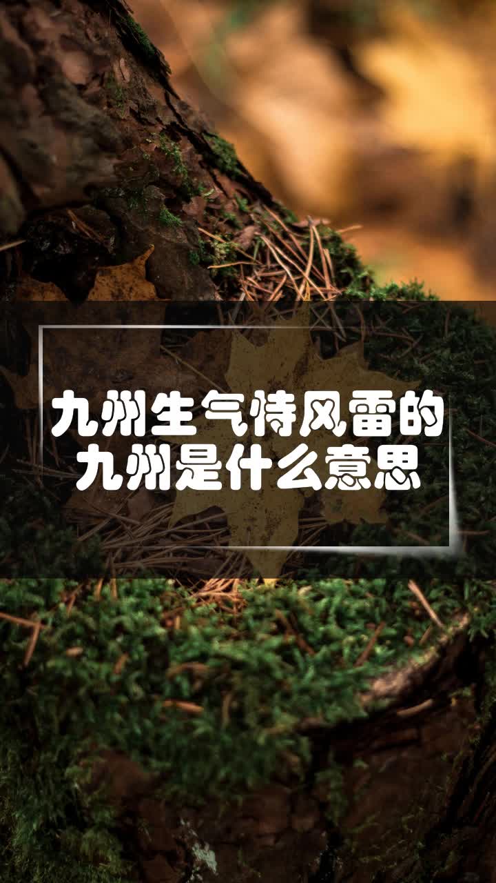 五德荦荦是什么意思(五德荦荦乃其大端意思)