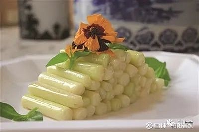 蒲菜(蒲草是什么植物)