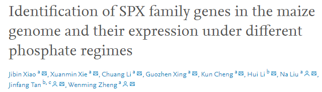 spx(spx自行车是杂牌子吗)