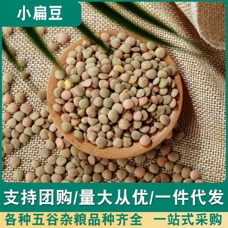 小扁豆(白扁豆图片大全)